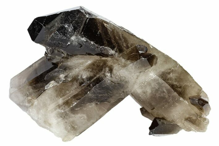 Dark Smoky Quartz Crystal Cluster - Brazil #119569